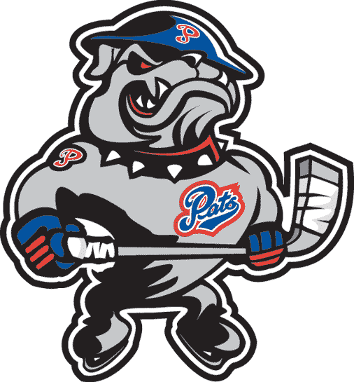 regina pats 2000-pres alternate logo iron on heat transfer